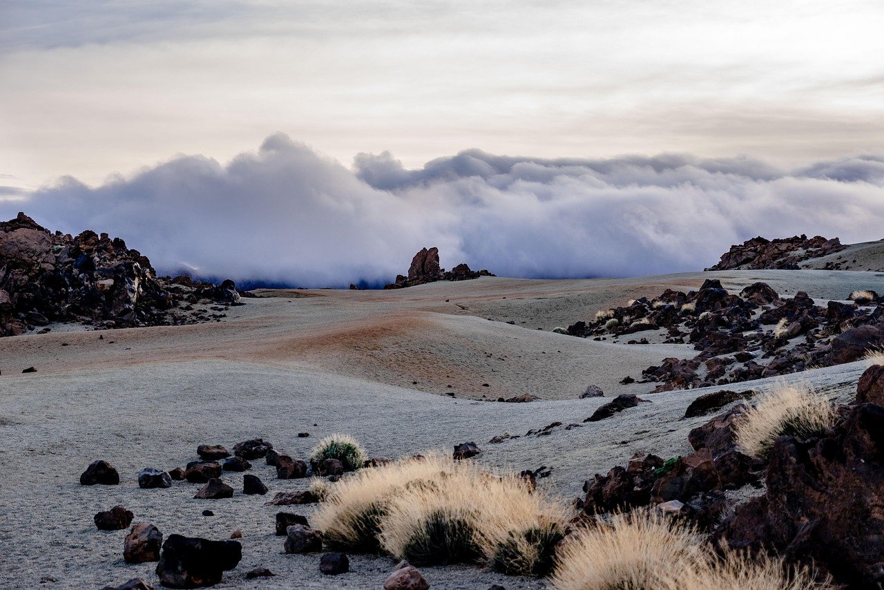 Quels vêtements prévoir pour la météo à Tenerife en avril